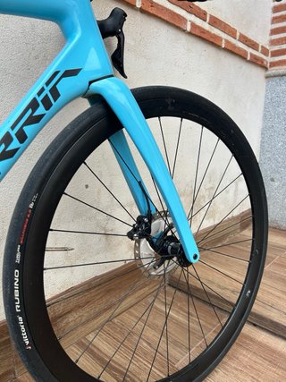 BERRIA BELADOR 2023