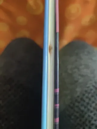 La Dama y el Vagabundo (Nueva antología Disney)...