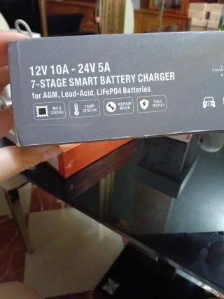 Cargador Inteligente Batería 12V/24V