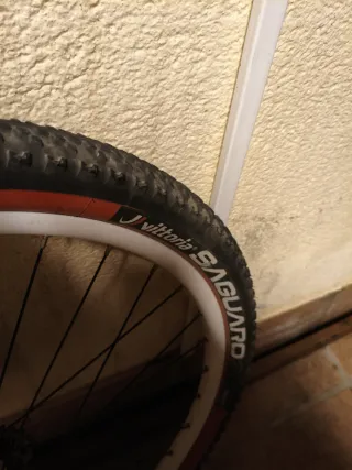 Set di Ruote MTB 26 Pollici Vittoria Saguaro