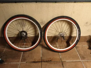 Set di Ruote MTB 26 Pollici Vittoria Saguaro