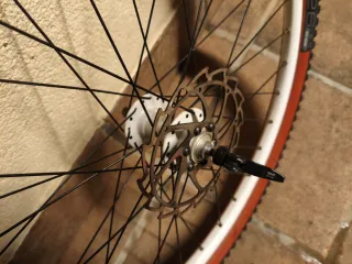 Set di Ruote MTB 26 Pollici Vittoria Saguaro