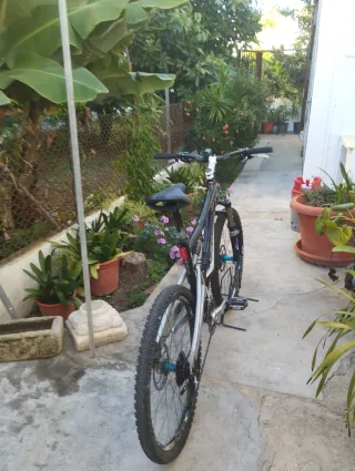 Orbea Ocam Fibra Carbono