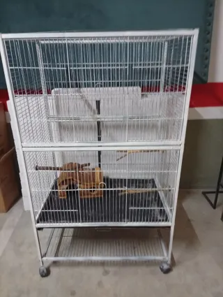 Jaula Maxi para pájaros, conejos, chinchillas...