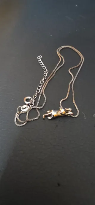 Colgante y collar de plata. Gatito