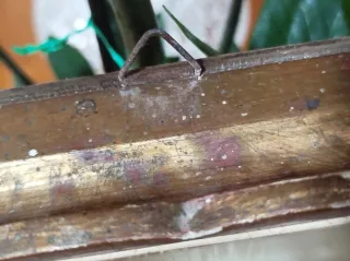 Quadro in legno marrone e oro