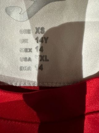 Camiseta Fútbol Joma Colegio Alameda Osuna