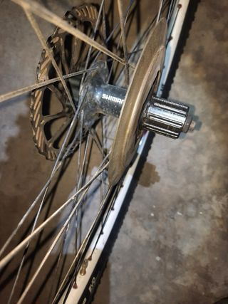 2 Llantas DT Swiss 26”