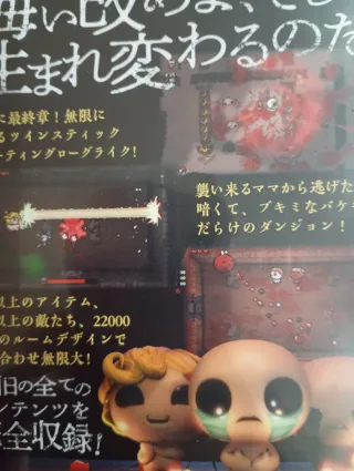 The Binding of Isaac: Repentance Nintendo Switch