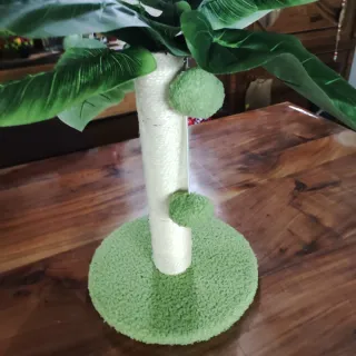 Tiragraffi Palma per Gatti