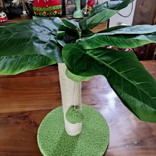 Tiragraffi Palma per Gatti