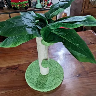 Tiragraffi Palma per Gatti