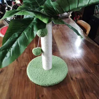 Tiragraffi Palma per Gatti