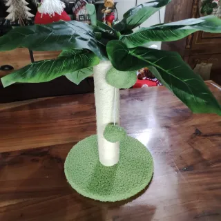 Tiragraffi Palma per Gatti