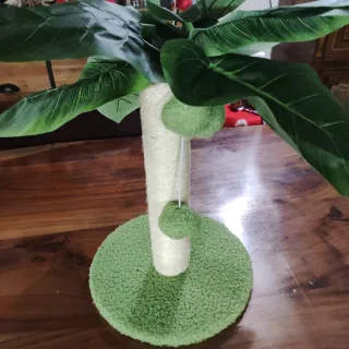 Tiragraffi Palma per Gatti