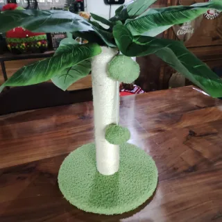 Tiragraffi Palma per Gatti