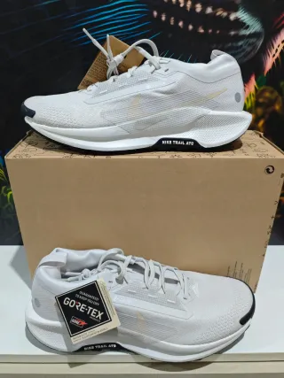 Nike Pegasus Trail 5 Gore-Tex Gris