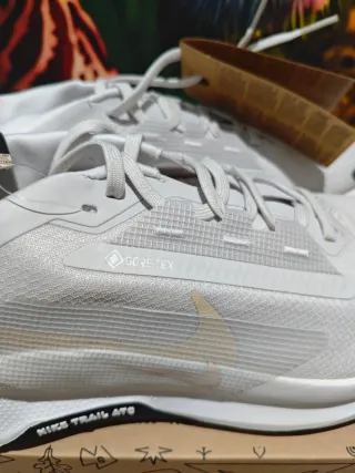 Nike Pegasus Trail 5 Gore-Tex Gris