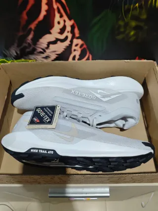 Nike Pegasus Trail 5 Gore-Tex Gris