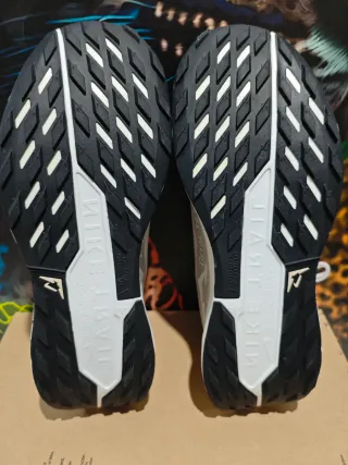 Nike Pegasus Trail 5 Gore-Tex Gris