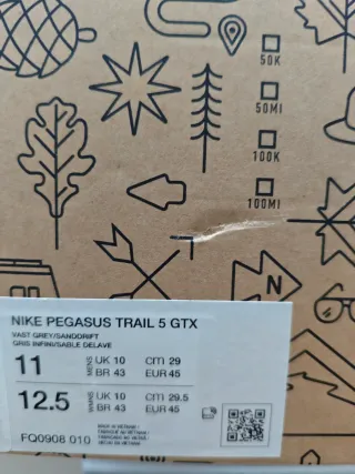 Nike Pegasus Trail 5 Gore-Tex Gris