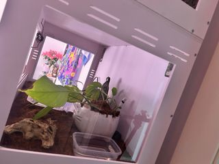 Terrario PVC blanco con cristales en los lados