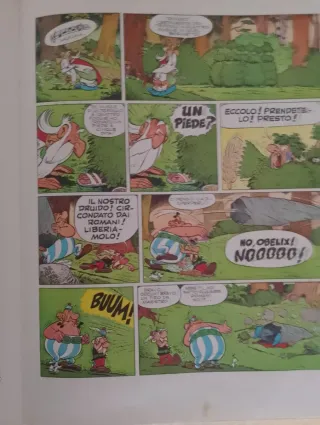 Asterix e il duello dei capi.