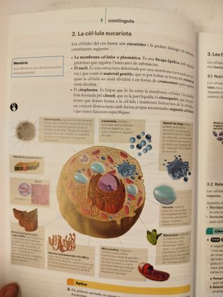 Biologia i Geologia 3ºESO - Codi Obert - LOMLOE - 978842187