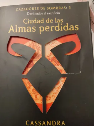 Ciudad de ángeles caídos y ángeles caídos