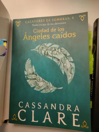 Ciudad de ángeles caídos y ángeles caídos