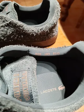 Zapatillas Lacoste Hombre Talla 43