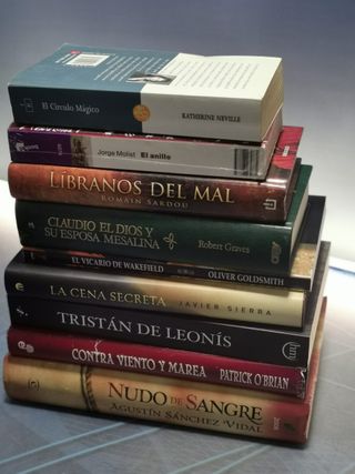 9 libros, ficción histórica, NUDO DE SANGRE, EL ANILLO, LA CENA SECRETA, CONTRA VIENTO Y MAREA...