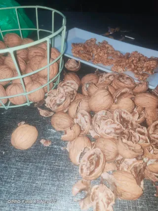 Empleo en la limpieza