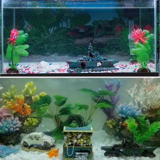 Decorazioni per acquari, Decorazione per acquario