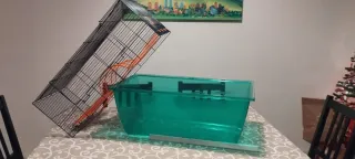 Jaula grande para hámster/cobaya