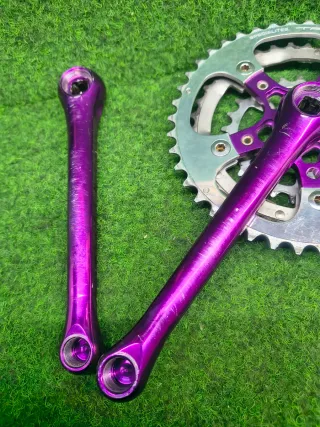 Bielas Topline Grafton