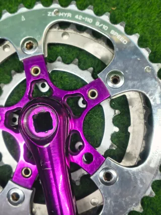 Bielas Topline Grafton