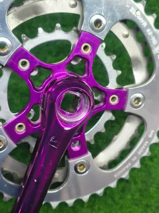 Bielas Topline Grafton