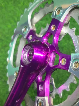 Bielas Topline Grafton