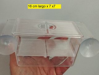 paridera pequeña acuario pecera flotante