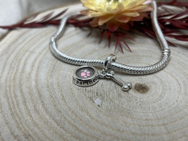 Charm Loyal Partner con Bebedero y Hueso