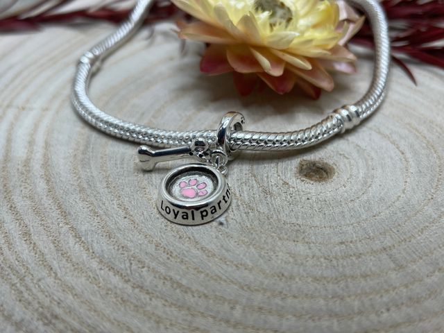 Charm Loyal Partner con Bebedero y Hueso