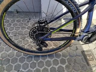 Bicicleta Orbea Wild HT 20