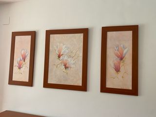 Tres cuadros de flores de magnolia