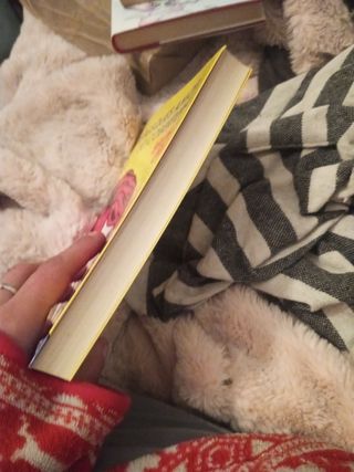 Tu busques amor i jo cobertura - Bruno Oro