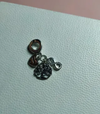 Charm Corazón Infinito Árbol Familia