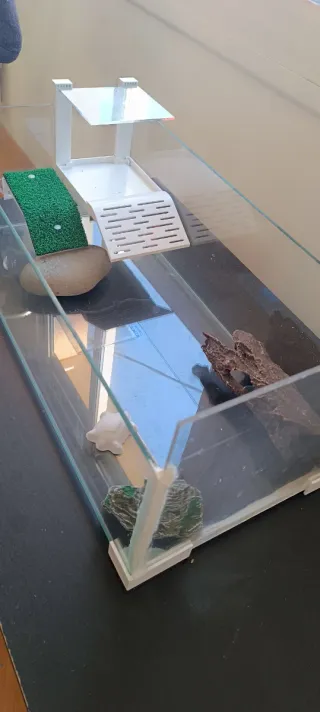 Tortuguera de cristal con accesorios