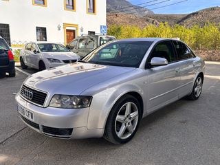 Audi A4 B6 Berlina Plata