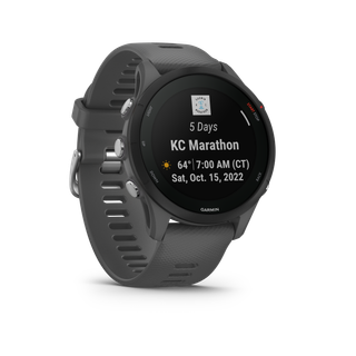 Reloj GPS GARMIN FORERUNNER 255 - Gris Pizarra