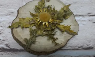 Eguzkilore artesanal sobre rodaja de árbol